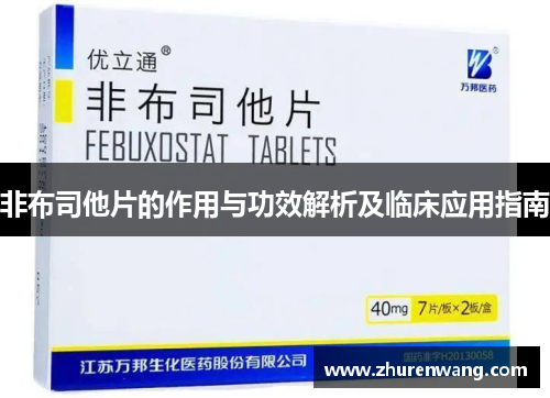非布司他片的作用与功效解析及临床应用指南